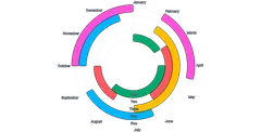 BarChart - radial-horizontal-duration